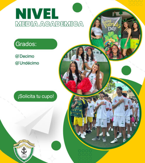 nivel_media_academica_web_2025