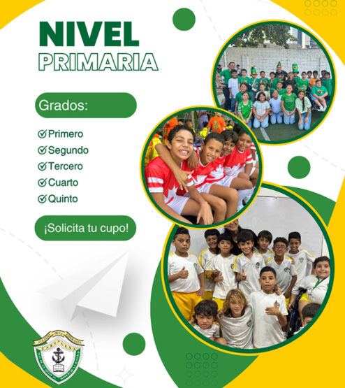 nivel_primaria_web_2025